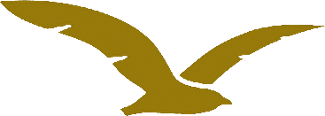 CallHawk logo